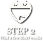Step 2: settle your design